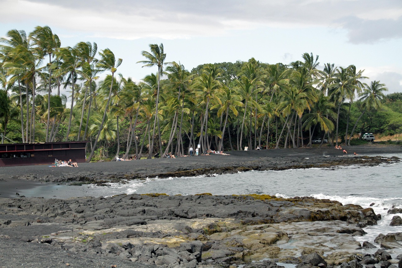 Punaluu black volcanic sand beach on the Big Island of Hawaii, where Hawaiian green turtles haul out to bask