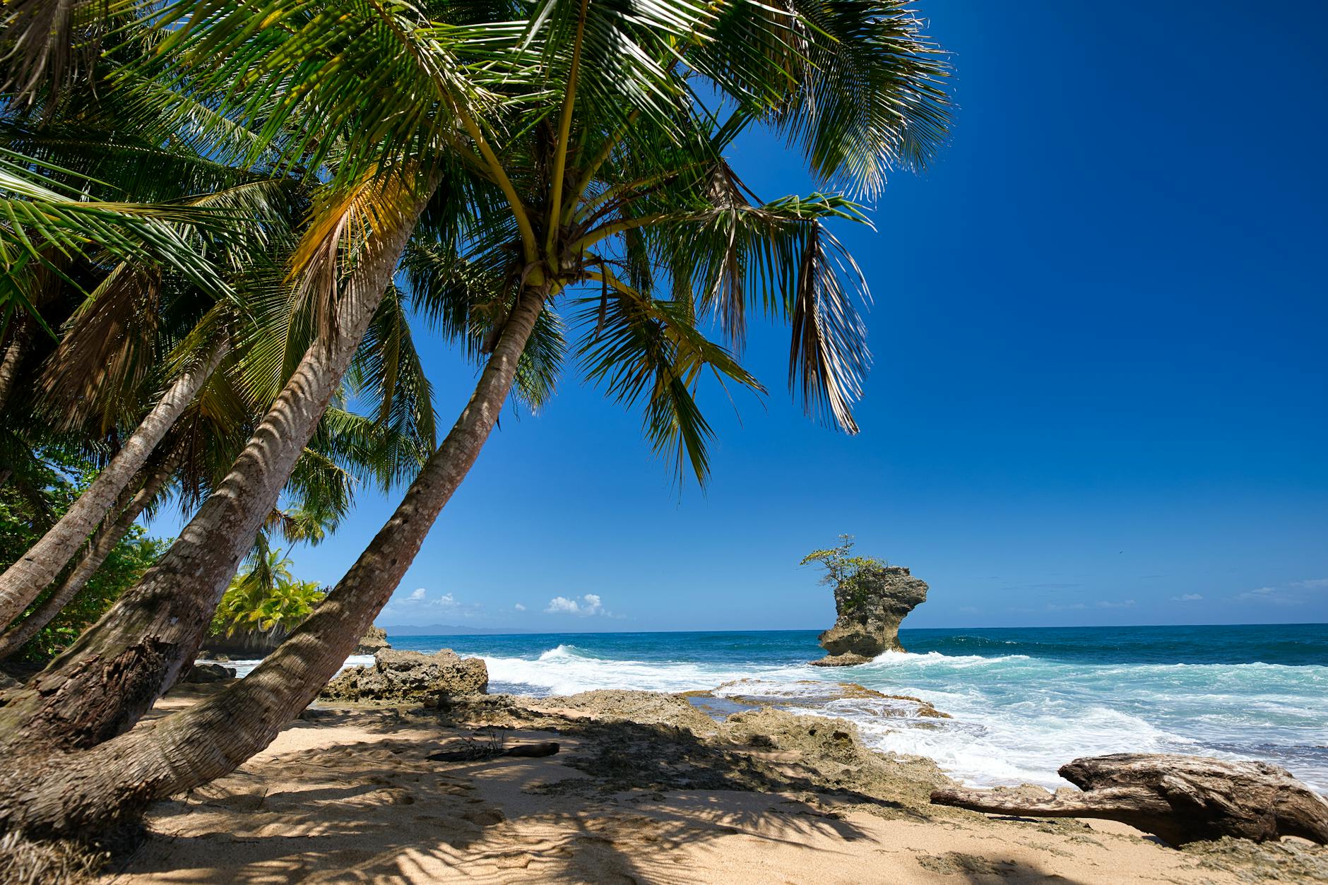 Tropical Costa Rica beach with palm trees fringing a quiet nesting cove at sunset