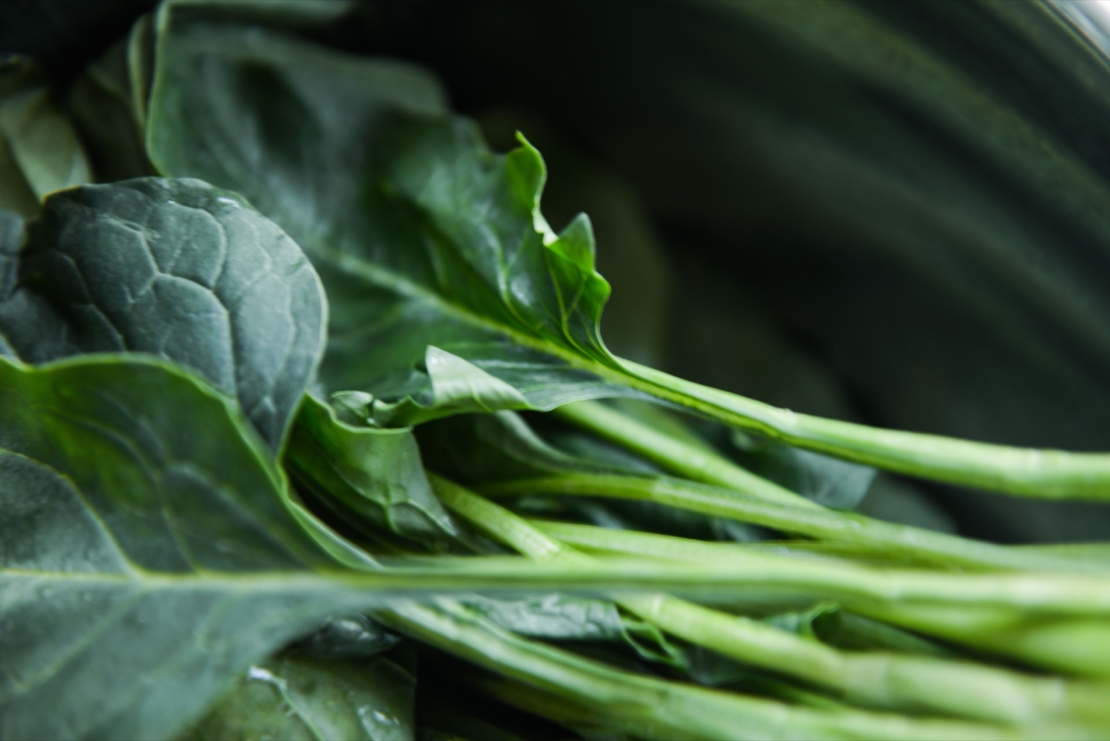 Fresh collard greens, a safe staple green for red footed tortoises